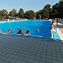 Bild (77)